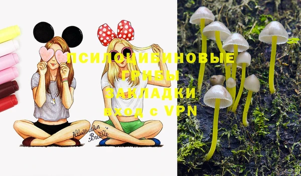 apvp Баксан